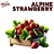 Aroma de Alpine Strawberry | FLV - Imagem 1