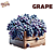 Grape | FLV - Imagem 1