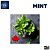 Mint | TPA - Imagem 1