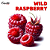 Wild Raspberry 10ml | CAP - Imagem 1