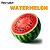 Watermelon | FA - Imagem 1