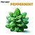Peppermint | FA - Imagem 1