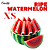 XS Ripe Watermelon | CAP - Imagem 1