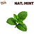 Aroma de Nat. Mint | FLV - Imagem 1