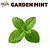 Aroma de Garden Mint | FLV - Imagem 1