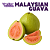 Malaysian Guava | WF - Imagem 1