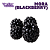 Mora (Blackberry) | WF - Imagem 1