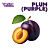 Plum (Purple) | WF - Imagem 1