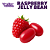 Raspberry Jelly Bean | WF - Imagem 1