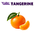 Tangerine | WF - Imagem 1