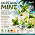 Aroma de South Beach Mint | CAP - Imagem 1