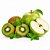 Kit Receita Kiwi com Maçã Verde e Hortelã CAP — 3 x 10 ml - Imagem 1