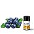 Aroma de Billberry | FA - Imagem 2
