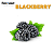 Aroma de Blackberry | FA - Imagem 1