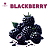 Aroma de Blackberry | LA - Imagem 1