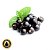 Aroma de Blackcurrante | INW - Imagem 1