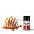Aroma de Butterscotch Ripple | FW - Imagem 2