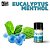 Aroma de Eucalyptus Menthol | VF - Imagem 1