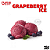 Aroma de Grapeberry Ice | FW - Imagem 1
