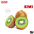 Aroma de Kiwi | FW - Imagem 1