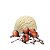 Aroma de Pralines & Cream | CAP - Imagem 2