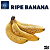 Aroma de Ripe Banana | TPA - Imagem 1