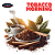 Aroma de Tobacco Morning | FR - Imagem 1