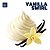 Aroma de Vanilla Swirl | TPA - Imagem 1