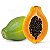 Papaya II Flavor 10ml | TPA - Imagem 1