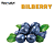 Bilberry 10ml | FA - Imagem 1
