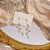 Brinco Noiva Pedra Zirconia Dourado Festa Debutante Folhas - Imagem 4