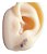 Brinco Ear Cuff Pedra Zirconia Dourado Infantil Pequeno Rosa - Imagem 2