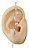 Brinco Ear Cuff  Pedra Zirconia Prata Dourado Estrela Pequen - Imagem 1
