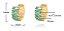 Brinco Argola Pedra Zirconia Verde Dourado Folheado Ouro 18k - Imagem 2