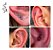 Piercing Tragus Cartilagem Cobra Aço Cirúrgico Helix Conch - Imagem 5