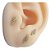 Brinco Pequeno Pedra Zirconia Dourado Infantil 2 Furo Raio - Imagem 1