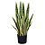 Planta Artificial Espada de São Jorge - Real Toque - 51cm - Grillo - Imagem 1