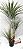 Planta Artificial Dracena 1,38cm 3 Hastes - Real Toque - Grillo - Imagem 1