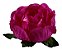 Forminha Para Doces Flor Bela 30 Un Pink - Decora Doces - Imagem 1