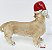 Cachorro Decorativo de Resina Dachshund Bege com Gorro de Noel Vermelho 28x32cm - Colecionáveis Pet Mania - Ref 1921538 Cromus Natal - Imagem 2