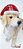 Cachorro Decorativo de Resina Dachshund Bege com Gorro de Noel Vermelho 28x32cm - Colecionáveis Pet Mania - Ref 1921538 Cromus Natal - Imagem 4