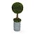 Topiaria Redonda Verde Tam G com Vaso de Cipó Torcido - Mini Árvore - Ref 1515342 - Cromus Natal - Imagem 1