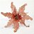 Flor de Natal Poinsetia Rosê com Bordas de Glitter Ouro- Flores Cabo Médio - Ref 1920607 Cromus Natal - Imagem 1