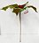 Flor de Natal Poinsetia Verde com Glitter Vermelho - Ref 1410170 - Cromus Natal - Imagem 2