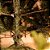 Árvore de Natal Verde Marseille 210cm Multiplos Galhos - Árvores de Natal - Ref 1715861 Cromus - Imagem 2