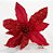 Flor de Natal Poinsettia Vermelha - Flore Cabo Longo - Ref 1412645 Cromus Natal - Imagem 1