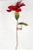 Flor de Natal Poinsettia Vermelha - Flore Cabo Longo - Ref 1412645 Cromus Natal - Imagem 2
