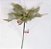 Flor de Natal Poinsetia Verde Claro e Ouro - Flores Cabo Curto - Ref 1920228 Cromus Natal - Imagem 2