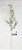 Galho Decorativo Grass Nevado 1,06cm - Ref 64260001 D&A - Imagem 1