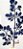 Galho Decorativo de Natal Folhas Azevinho Azul Marinho - Galhos Grandes - Ref 1920317 Cromus Natal - Imagem 3